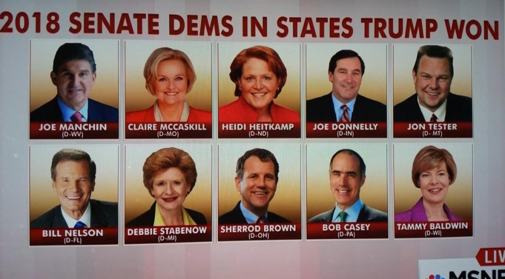 VOTE THEM OUT 2018 Senate Dems in states that Trump Won