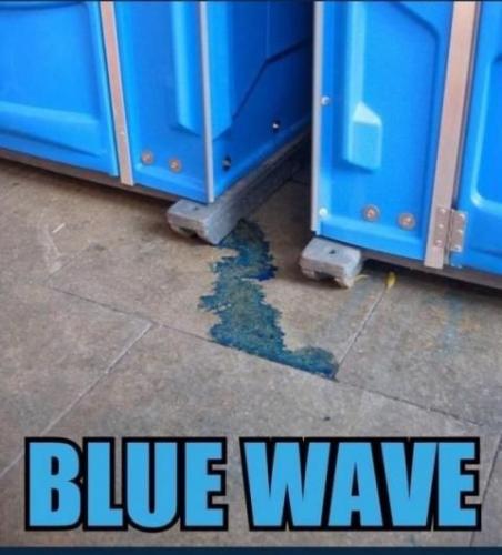 WATCH OUT The Blue Wave is Coming - Do Not Step In it - It stinks