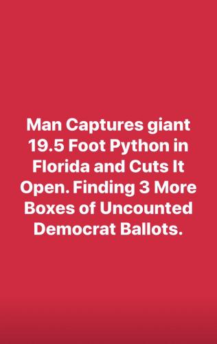 Man catches python in Florida and finds 3 boxes of Broward Democrat Ballots inside