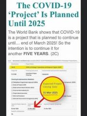 World Bank Covid 19 Project is Planned until 2015